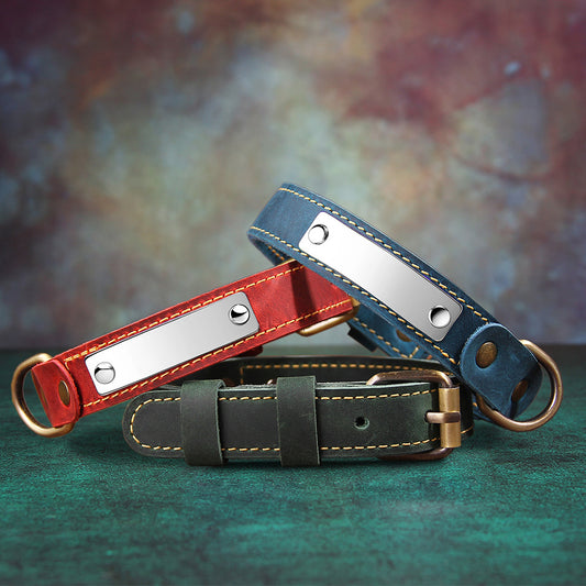Secure anti-bite pet collar