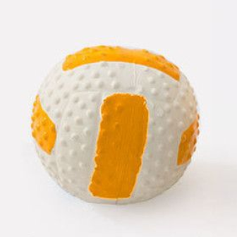 Vinyl Dog Chew Toys with Sound