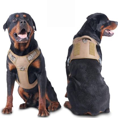 pet harness